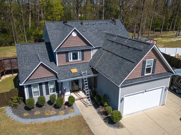 Roof Moss and Algae Removal in Oxford, PA